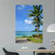 Tropical Beach Scene