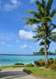 Tropical Beach Scene