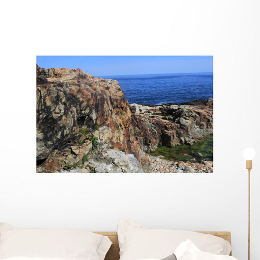 Otter Cliffs Acadia National Wall Decal