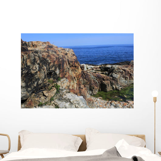 Otter Cliffs Acadia National Wall Decal