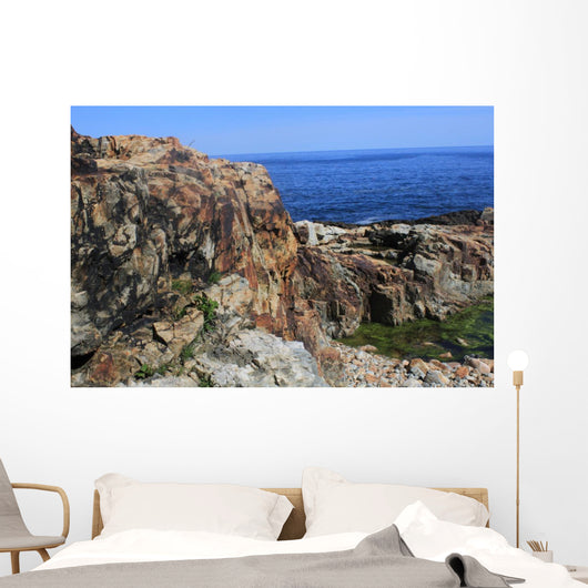 Otter Cliffs Acadia National Wall Decal