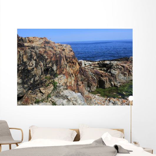 Otter Cliffs Acadia National Wall Decal