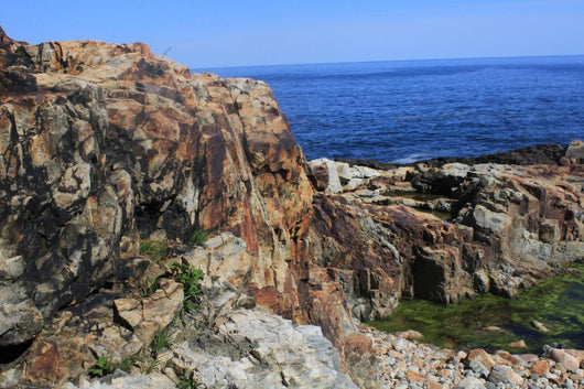 Otter Cliffs Acadia National Wall Decal