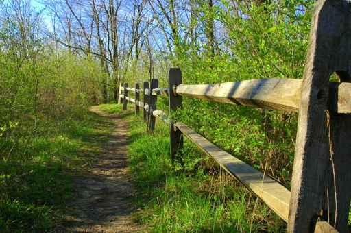Trail and Fence Wall Decal