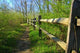 Trail and Fence Wall Decal