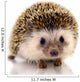 Hedgehog Isolate White