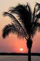 Tropical Sunset Mexico Wall Decal
