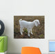 baby goat Wall Mural