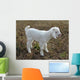 baby goat Wall Mural