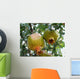 Pomegranate Wall Mural