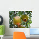 Pomegranate Wall Mural