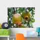 Pomegranate Wall Mural