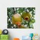 Pomegranate Wall Mural