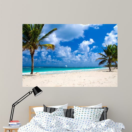 Tropical Sea