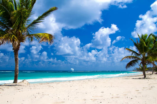 Tropical Sea