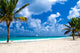 Tropical Sea