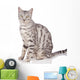 Bengal Cat Sits on White Wall Decal