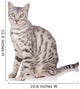 Bengal Cat Sits on White Wall Decal