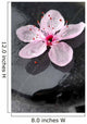 Zen Cherry Blossom Wall Mural