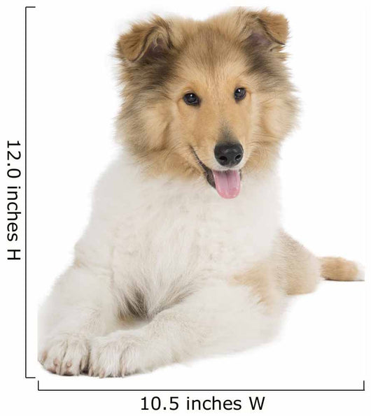 Puppy Collie Wall Decal
