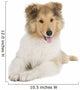 Puppy Collie Wall Decal