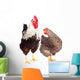Rooster and Chicken on White Background Wall Decal