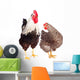 Rooster and Chicken on White Background Wall Decal