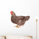 Speckled Chicken with Eggs Wall Decal