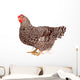 Speckled Chicken with Eggs Wall Decal