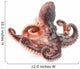 Octopus Wall Mural
