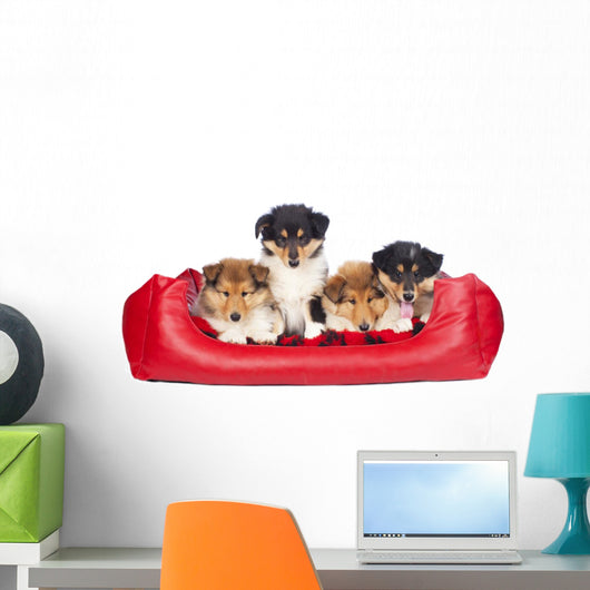 American Collie Welpen im Hundebett Wall Decal