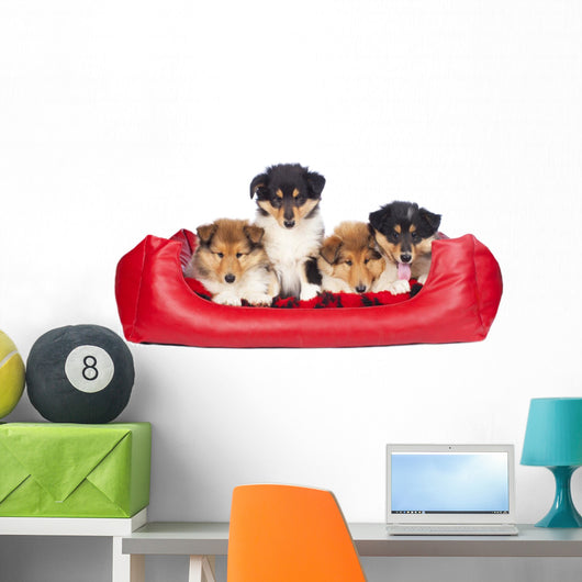 American Collie Welpen im Hundebett Wall Decal