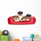 American Collie Welpen im Hundebett Wall Decal