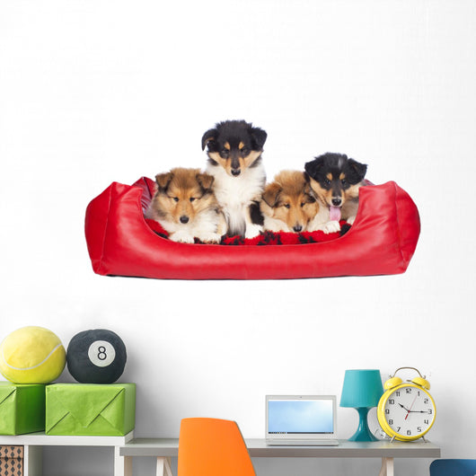 American Collie Welpen im Hundebett Wall Decal