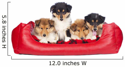 American Collie Welpen im Hundebett Wall Decal