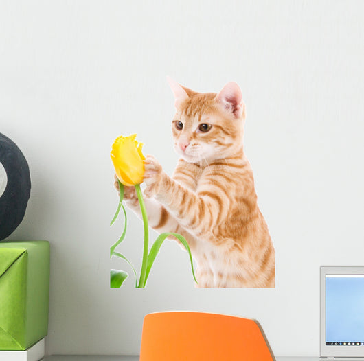 Red Cat White Wall Decal