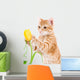 Red Cat Isolated on a White Wall Decal