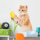 Red Cat Isolated on a White Wall Decal