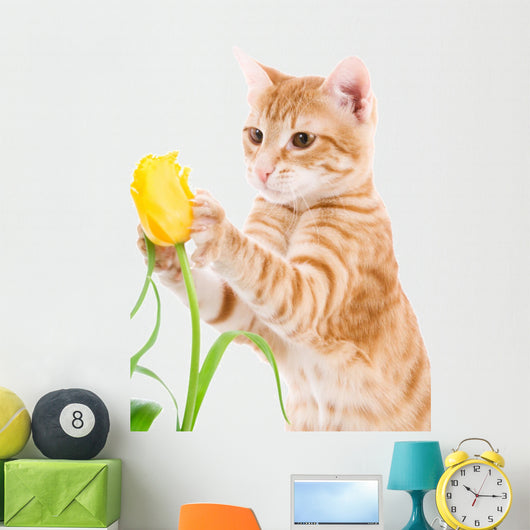Red Cat Isolated on a White Wall Decal