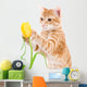 Red Cat Isolated on a White Wall Decal