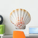 Sea Shell
