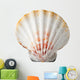 Sea Shell