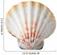 Sea Shell