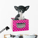 Puppy Chihuahua Wall Decal