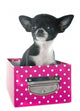 Puppy Chihuahua Wall Decal