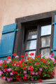 Window House Eguisheim Alsace