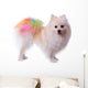 Pomeranian Dog Grooming Colorful Tail Wall Decal