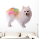 Pomeranian Dog Grooming Colorful Tail Wall Decal