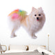 Pomeranian Dog Grooming Colorful Tail Wall Decal