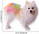Pomeranian Dog Grooming Colorful Tail Wall Decal